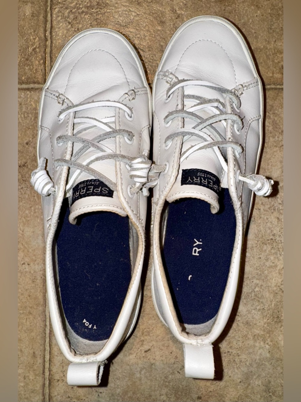 Sperry Women's Crest Vibe Sneakers